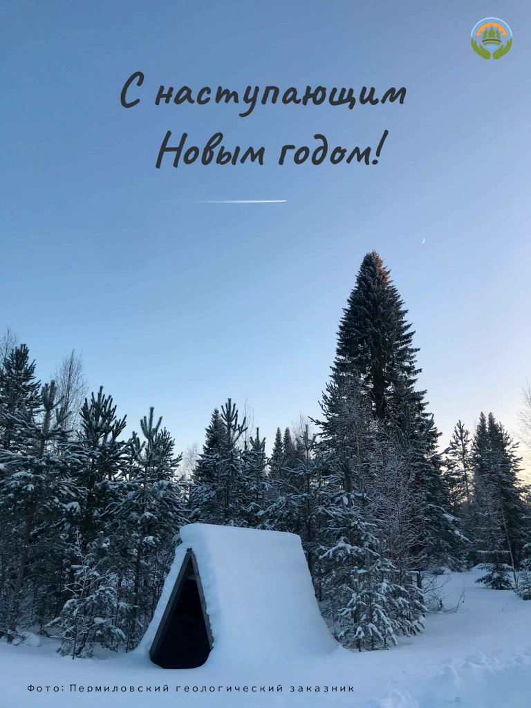 С наступающим новым годом.jpg