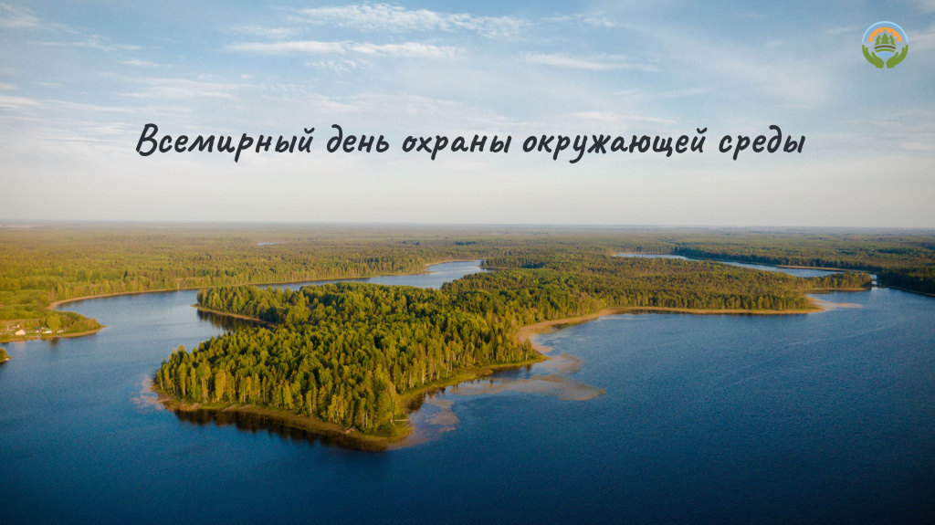 День эколога.jpg
