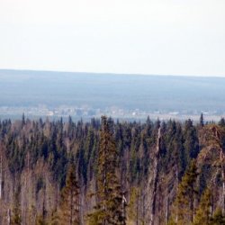 Сурский биологический заказник