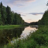 Рылковский бор