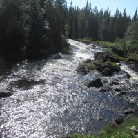 Кожозерский ландшафтный заказник