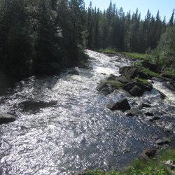 Кожозерский ландшафтный заказник