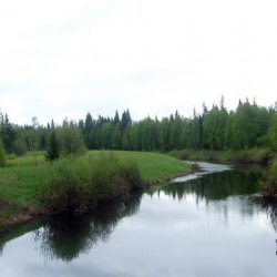 Онский биологический заказник