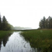 Пермиловский геологический заказник