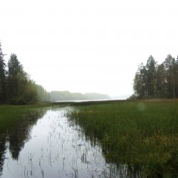 Пермиловский геологический заказник