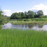 Лачский биологический заказник