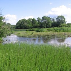 Лачский биологический заказник