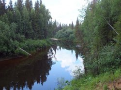 Уфтюго-Илешский комплексный (ландшафтный) заказник