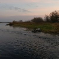 Река Ена с прибрежной полосой