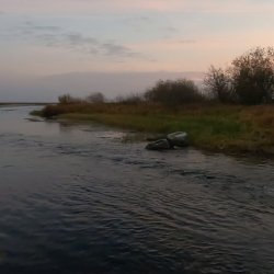 Река Ена с прибрежной полосой