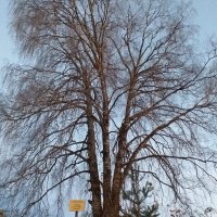 Фото: Ирина Кемакова