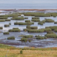 Мудьюгский ландшафтный заказник