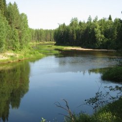 Яренский биологический заказник