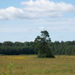 Филатовский биологический заказник