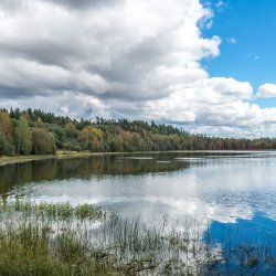 Плесецкий биологический заказник