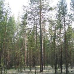 Ландшафтный заказник Железные Ворота