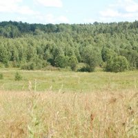 Котласский биологический заказник