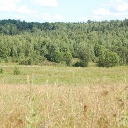 Котласский биологический заказник