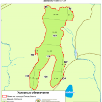 Болото Пиково (Тыково)