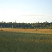 Шултусский биологический заказник