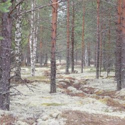 Вилегодский биологический заказник