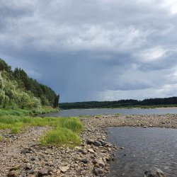 Сосновый бор «Мяндач»