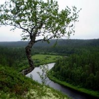 Соянский биологический заказник