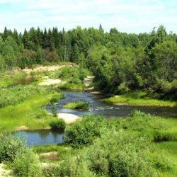 Ленский ландшафтный заказник