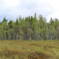 Селенгинский биологический заказник