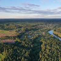 Исполиновский бор