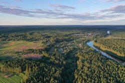 Исполиновский бор