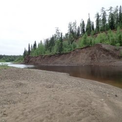 Усть-Четласский ландшафтный заказник