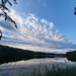 Тёгринский лес