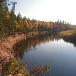 Кулойский биологический заказник