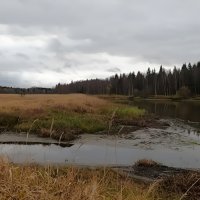 Источник минеральных вод (сероводородный)