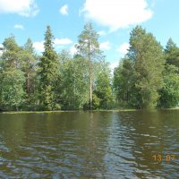 Пучкомский ландшафтный заказник