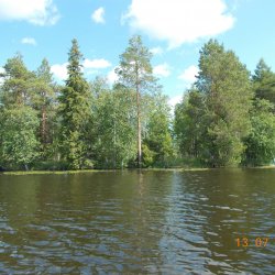 Пучкомский ландшафтный заказник