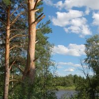 Сольвычегодский биологический заказник